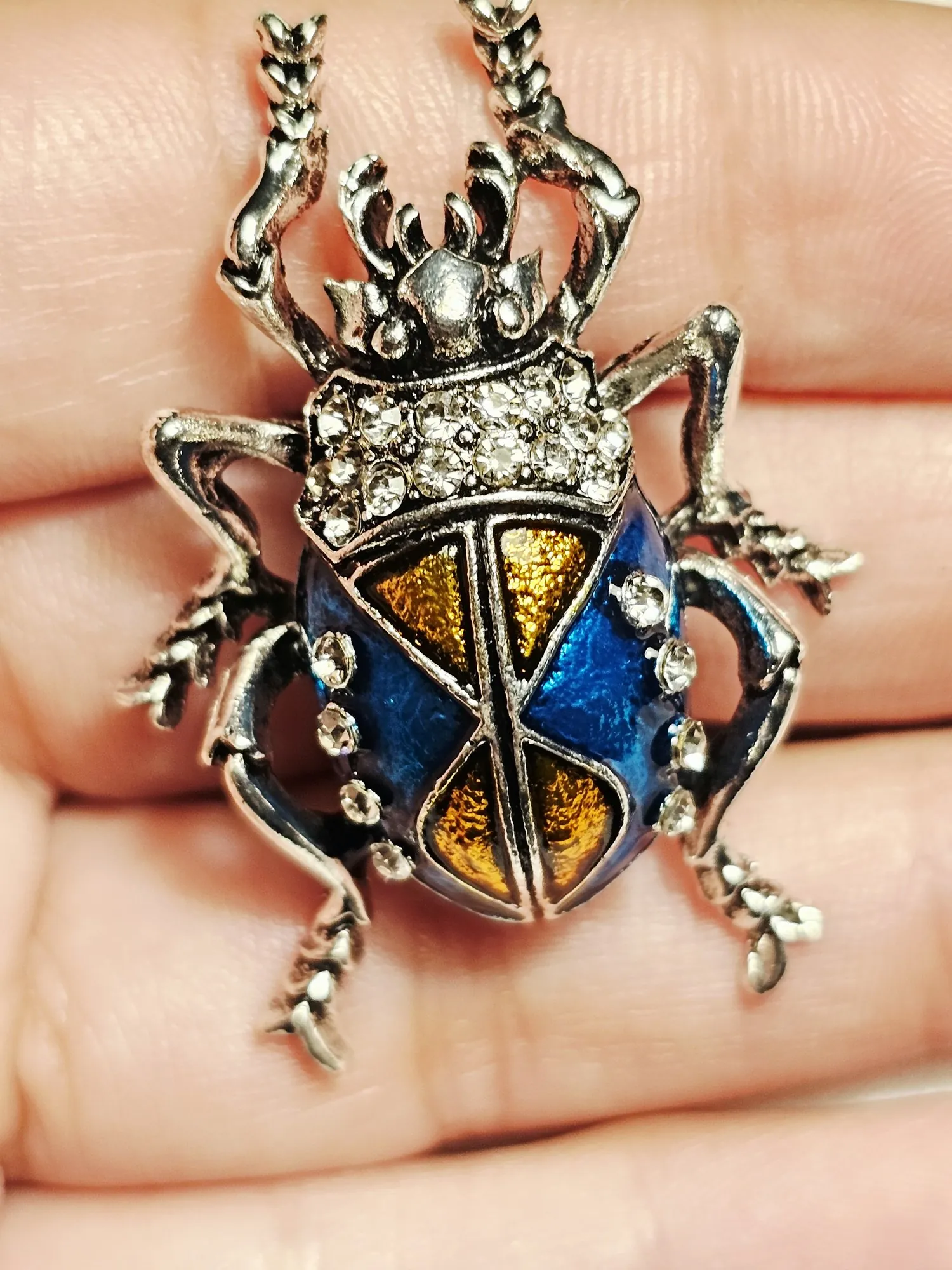 Golden Tide Beetle view 2